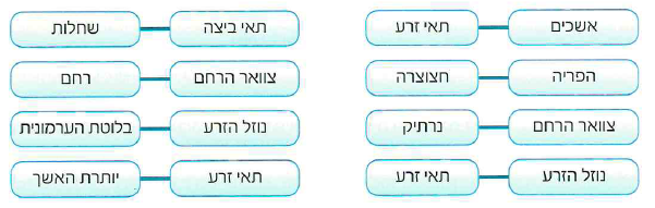 (בספר 2 תמונות)